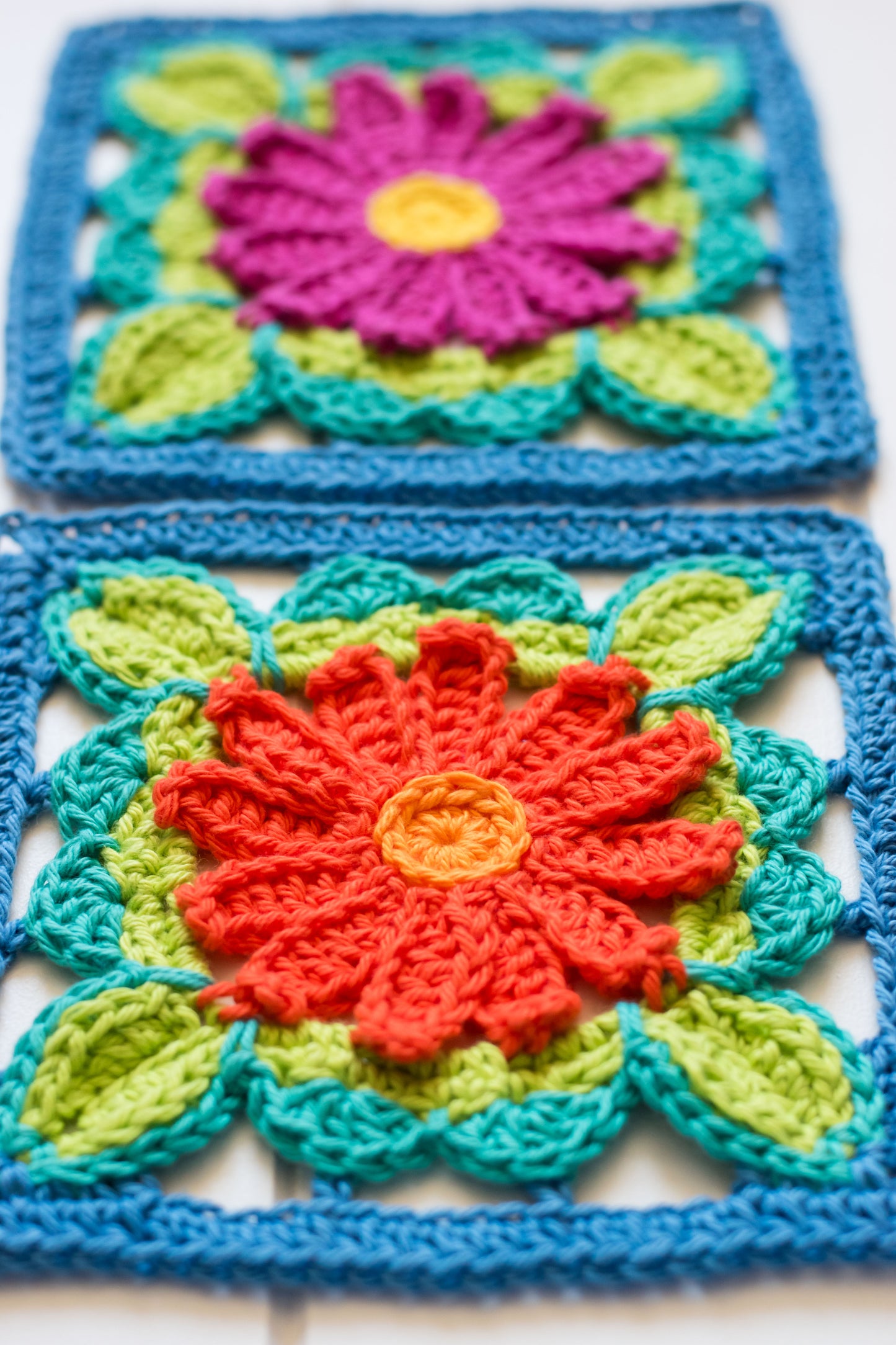 Enchanted Gerberas