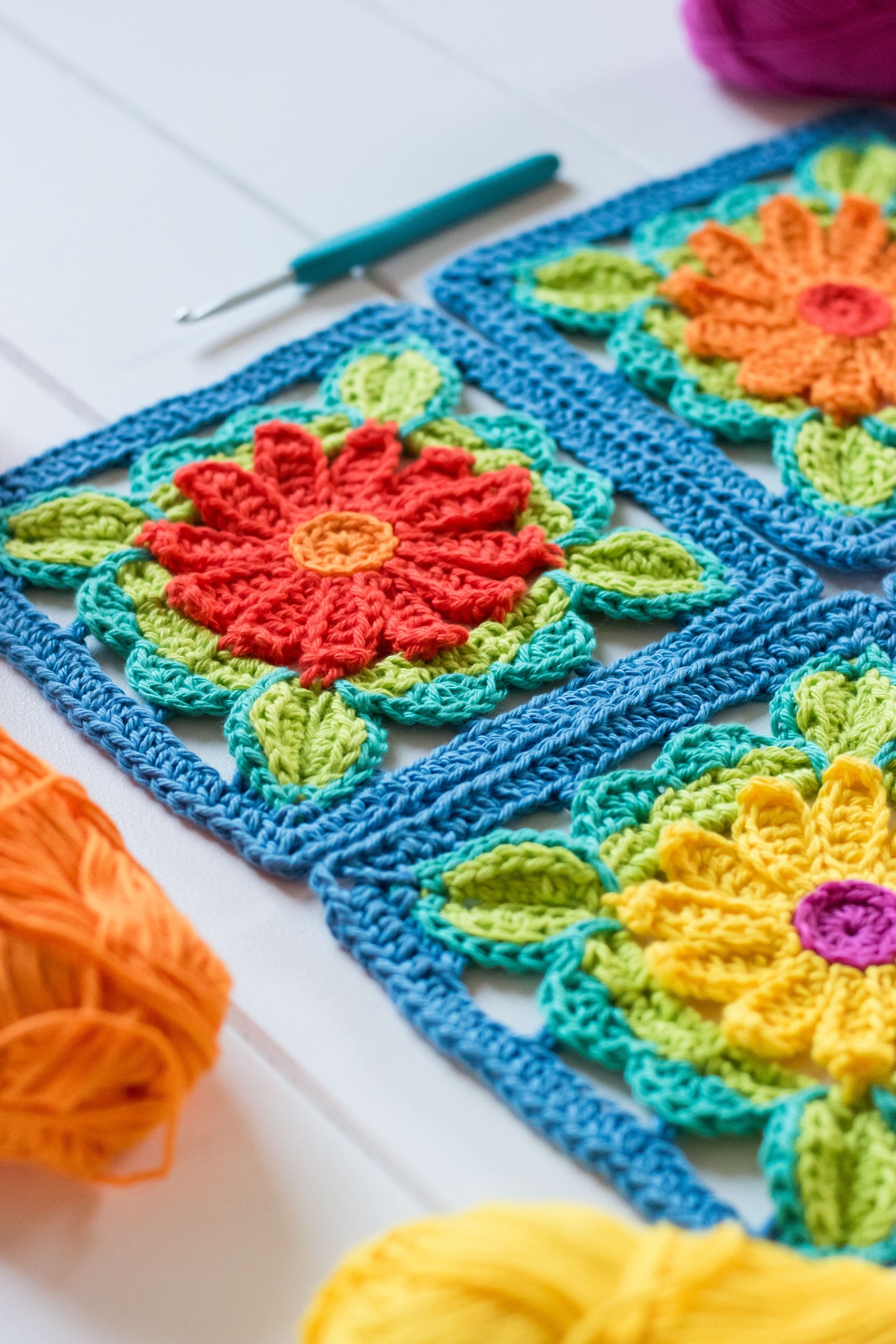 Enchanted Gerberas