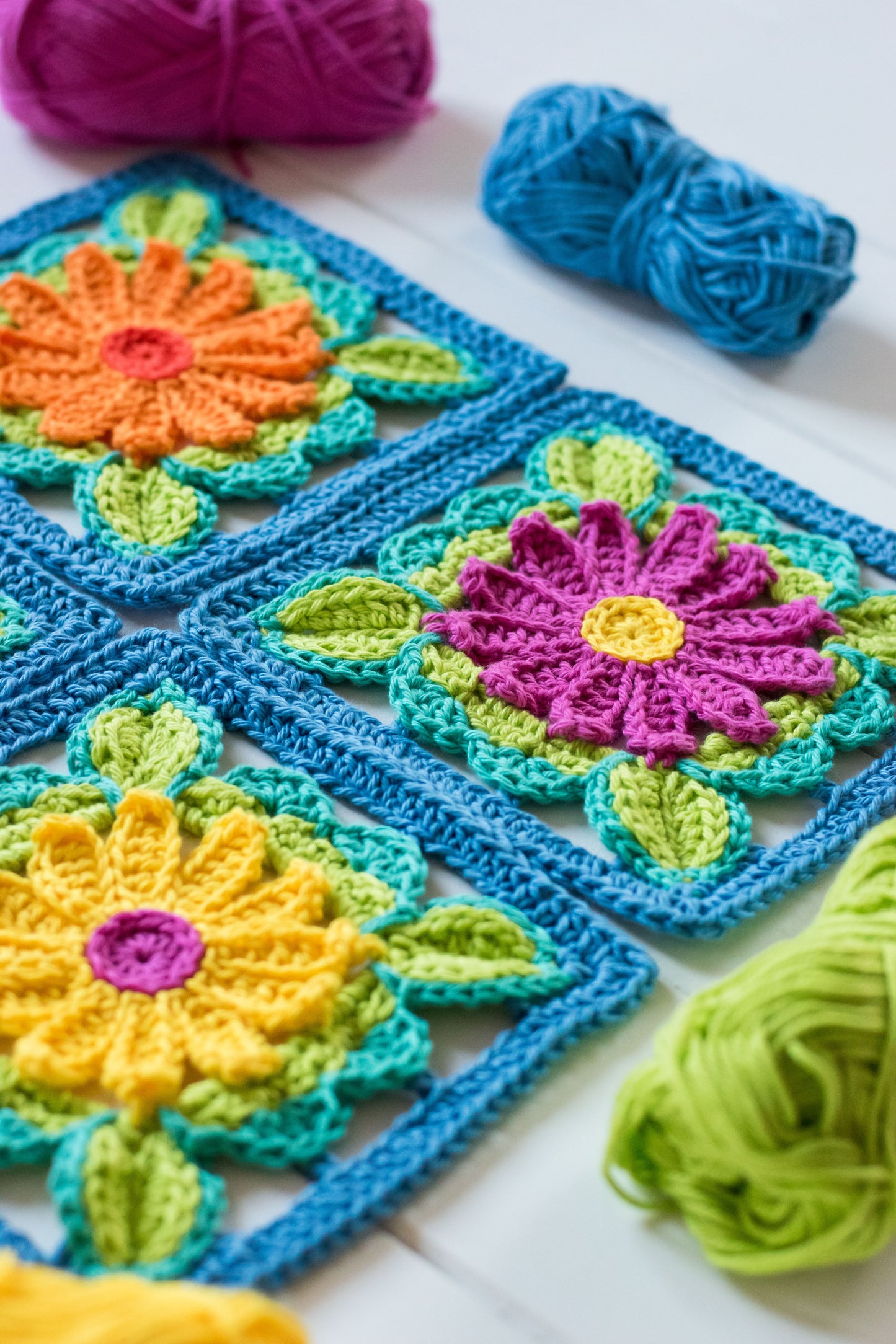 Enchanted Gerberas