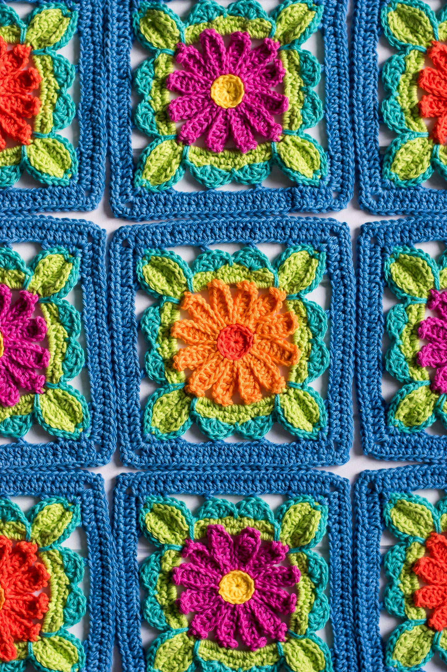 Enchanted Gerberas